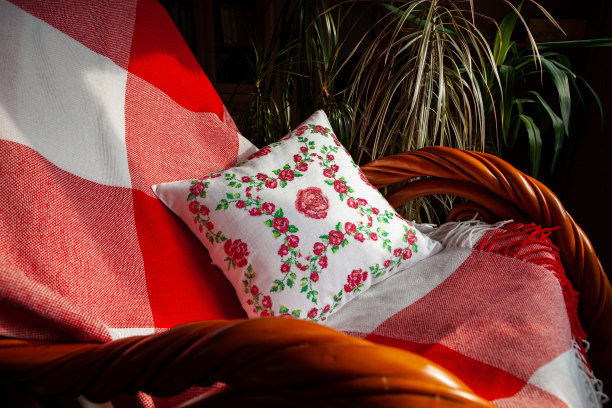 扶手椅上有一个白色的枕头，上面绣着玫瑰，红色和白色的毯子，背景是植物。舒适房间的内部图片下载