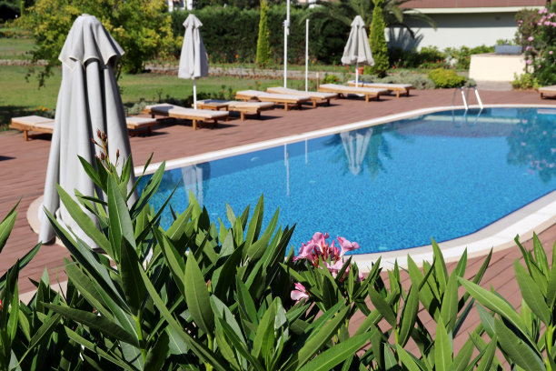 透过游泳池和太阳床上的夹竹桃花可以看到图片下载