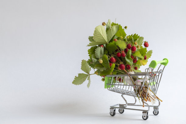 一束草莓放在购物车里图片下载