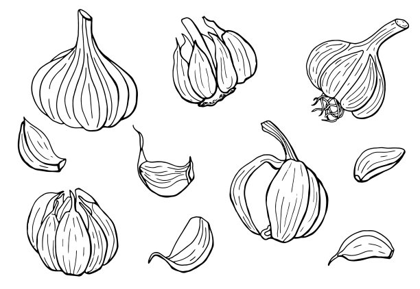 线性组大蒜图片下载