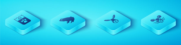 设置等距袋食蛙和鼠头图片下载