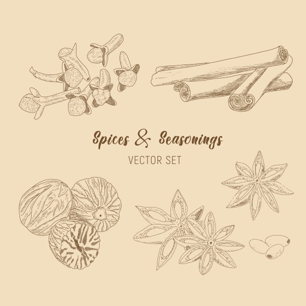 一组香料图片下载