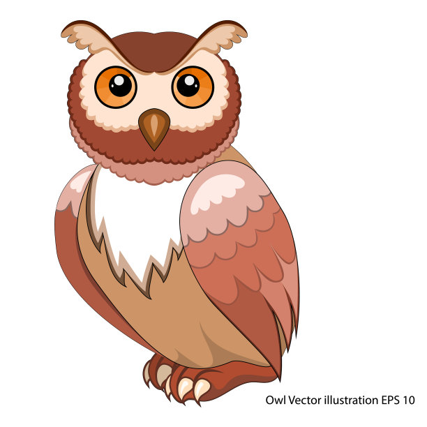 在白色背景上孤立地画卡通猫头鹰图片下载