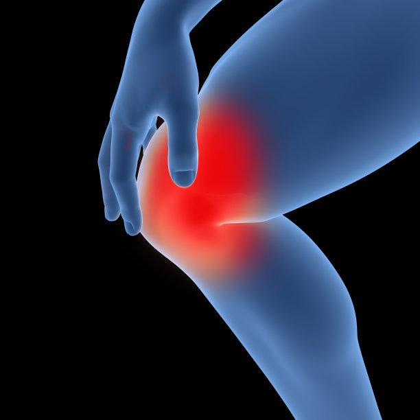 人体骨关节疼痛(膝关节)解剖学图片下载