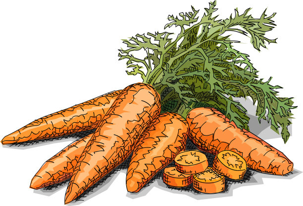 画蔬菜胡萝卜图片下载