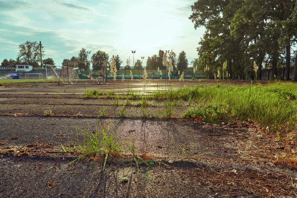 橡胶涂层草生长所穿过的橡胶涂层一个做运动的地方。明亮的阳光图片下载