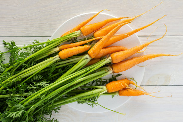 从花园里摘来的新鲜蔬菜图片下载