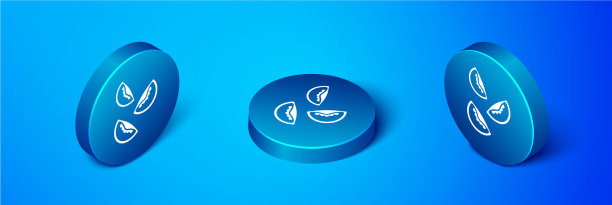 等距番茄图标孤立在蓝色背景图片下载