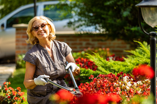 园艺和人的概念-快乐的妇女与修枝照顾葱花在夏季花园图片下载