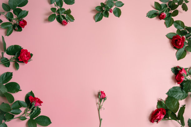 花框架由玫瑰在粉红色的背景。图片下载