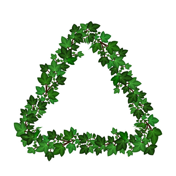 三角形的常青藤叶框架边。绿色常青藤枝叶花环装饰。孤立在白色背景上。矢量图图片下载