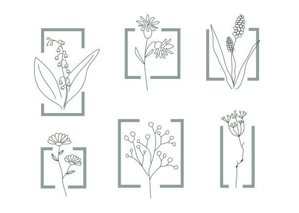 野花图标。天然化妆品的元素图片下载