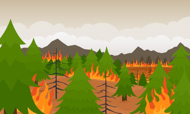 森林大火。云杉着火了。环境中的灾难。图片下载