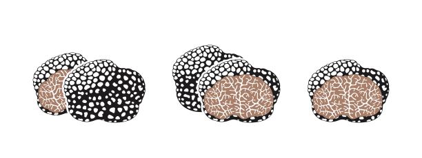 松露的标志。孤立的松露在白色背景图片下载