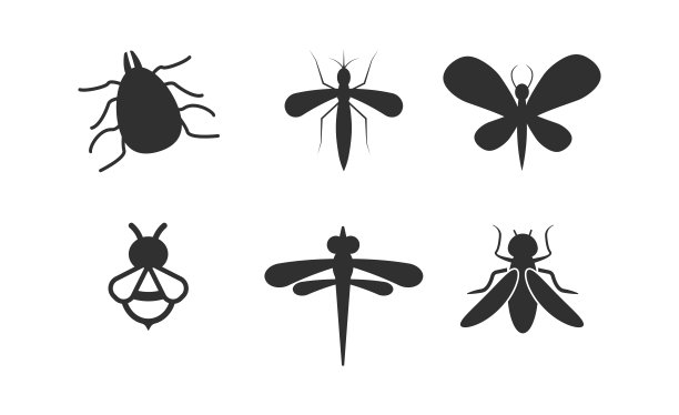 昆虫矢量图标设置。真实的向量昆虫设置。图片下载
