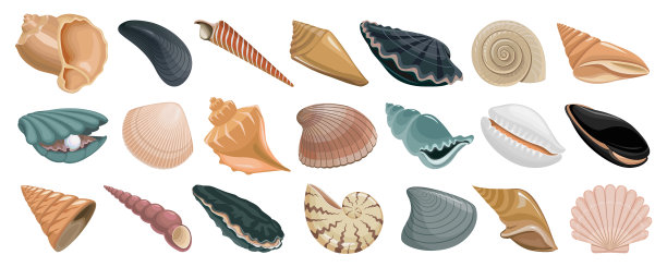 贝壳卡通套装图标图片下载