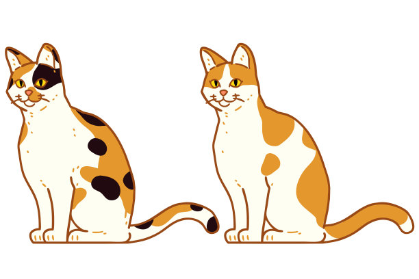 小巷里的猫。长和阳。图片下载