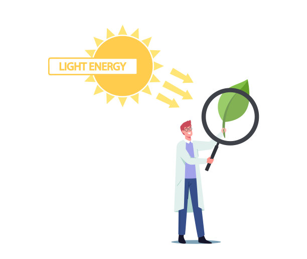 微小的科学家男性角色透过巨大的放大镜看绿叶。阳光照耀着植物。光合作用图片下载