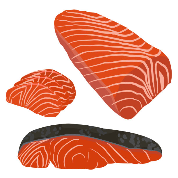 鲑鱼鱼raw插图矢量图片下载