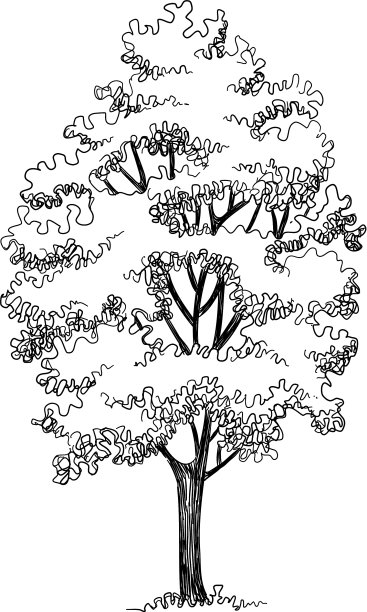 高树图标手绘和轮廓风格图片下载