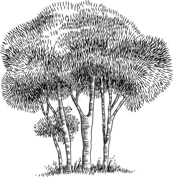 田野树木图标手绘和轮廓风格图片下载