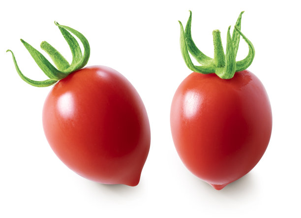白色上分离的番茄。图片下载