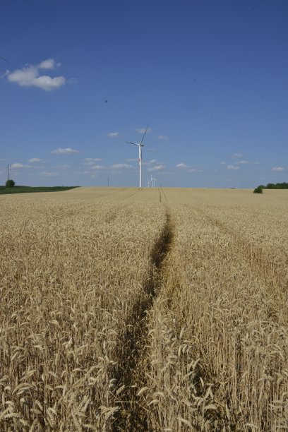 保护自然，可持续发展图片下载