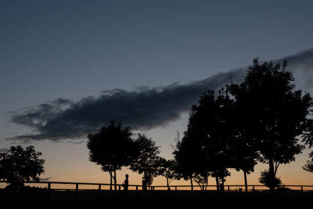 美丽的黄昏天空和树木的剪影图片下载
