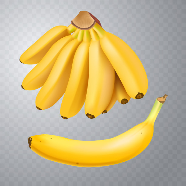 设置现实的香蕉和香蕉图片下载