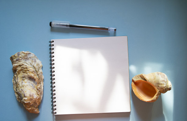 笔记本，笔和贝壳在蓝色的背景为模型图片下载