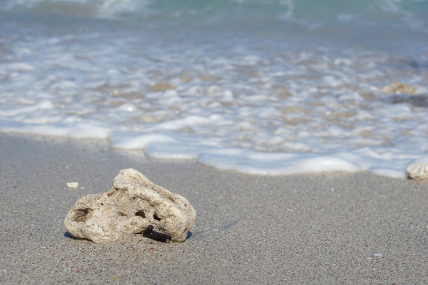 白色沙滩上的白色珊瑚礁图片下载