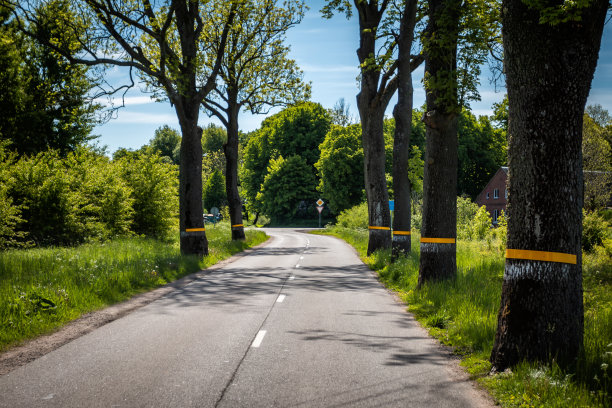 风景优美的夏日柏油路穿过村庄图片下载
