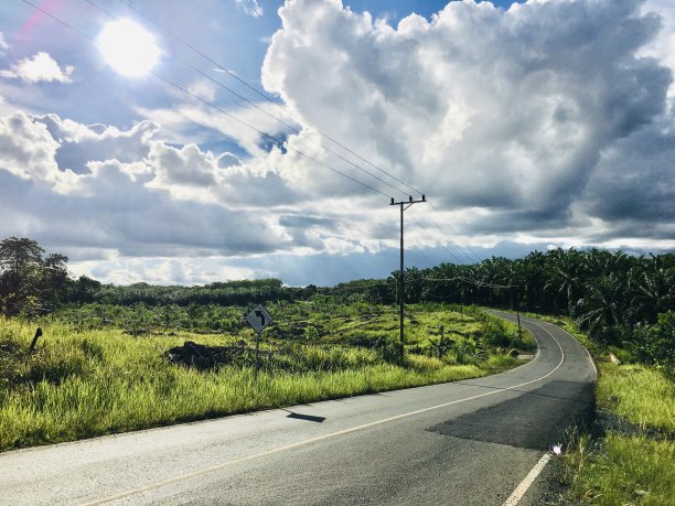 印度尼西亚南加里曼丹婆罗洲的一个阳光明媚的日子。图片下载