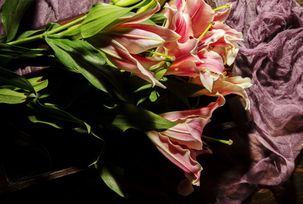 百合花在丝绸桌布上图片下载