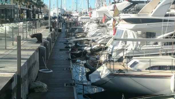 船只停泊在马略卡港图片下载