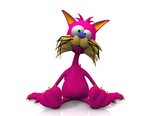 白色背景上的猫”图片下载