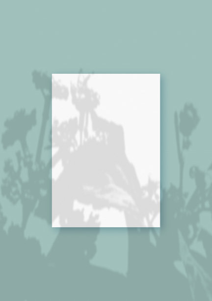 自然光从植物上投射阴影在垂直的白色纹理纸格式，躺在绿色纹理的背景。模型图片下载