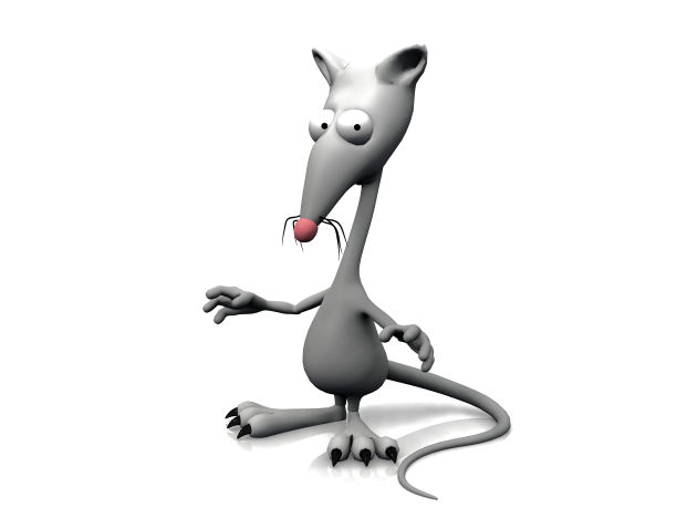 白色背景上的老鼠”图片下载