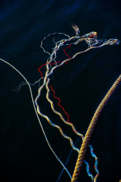 船绳在水中打结。图片下载