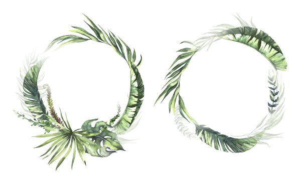 水彩夏季花环与手绘热带干棕榈叶，绿色树叶的树枝。浪漫的花束完美的婚礼贺卡，邀请和更多图片下载