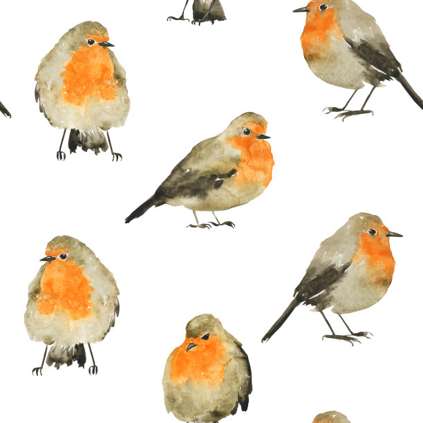 可爱的无缝图案的知更鸟在白色的背景。水彩手绘插图。冬灰色和橙色的鸟。非常适合在织物、纺织品、纸张上打印。图片下载