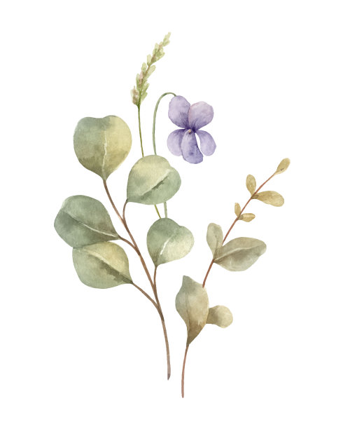 水彩矢量花束与野花和叶子孤立在白色的背景。手绘插画海报，墙壁艺术装饰，贺卡，婚礼请柬和更多。图片下载