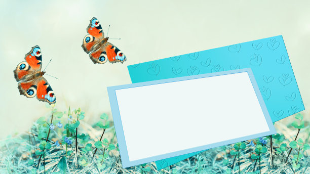 蝴蝶和纸张上的文字自然散焦背景图片下载