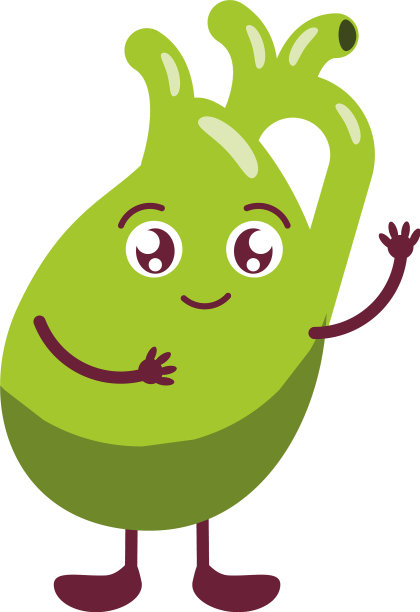 可爱的人类胆囊图片下载