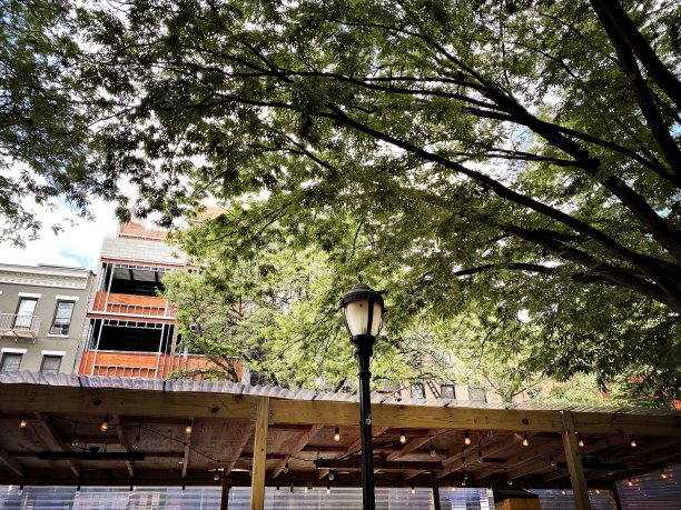 灯柱，Covid餐厅棚，树和建筑图片下载