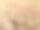 黄色麦田俯视图图片下载