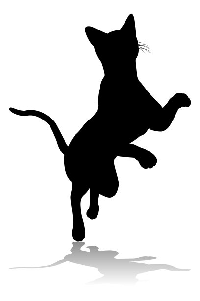 剪影猫及宠物图片下载