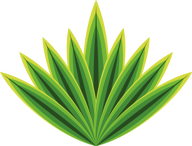 树叶的叶子植被图片下载