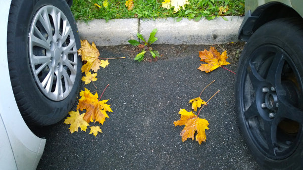停在路上的汽车轮子。黄色的枫叶落在沥青上。金色的秋天。旅行。开车。汽车轮胎。保护汽车。车辆轮胎压力检查概念。城市街道的野花。下降。图片下载