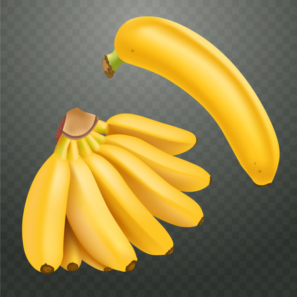 设置现实的香蕉和香蕉图片下载